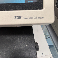 Bio-Rad ZOE Fluorescent Cell Imager image 1